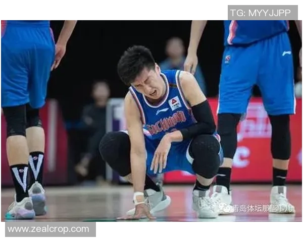 2017年CBA决赛回顾：激烈对决与精彩瞬间的篮球盛宴